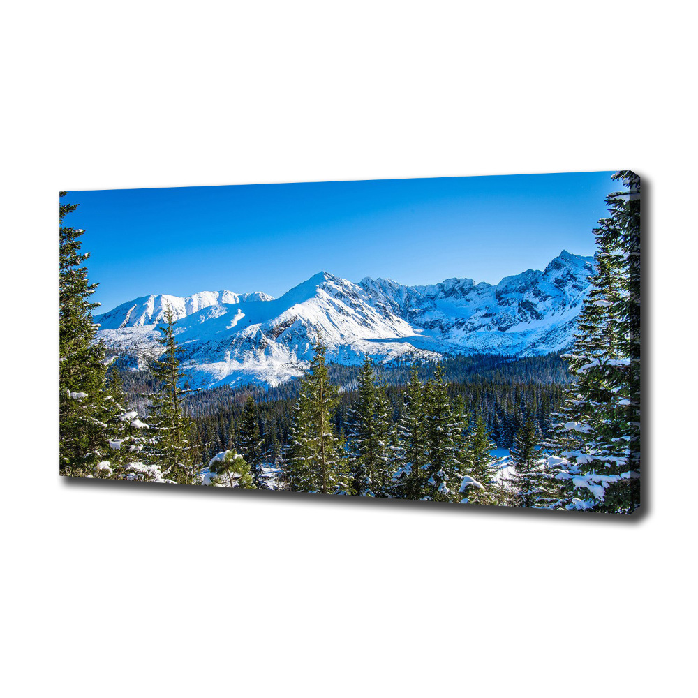 Tableau photo sur toile Panorama des Tatras