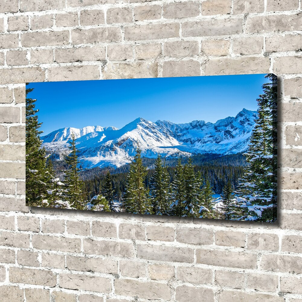 Tableau photo sur toile Panorama des Tatras