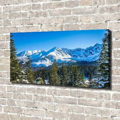 Tableau photo sur toile Panorama des Tatras