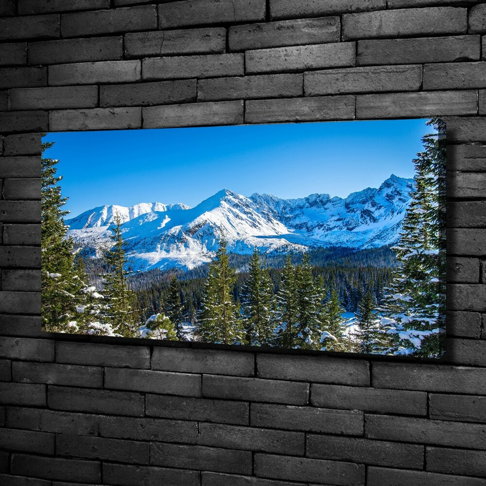 Tableau photo sur toile Panorama des Tatras