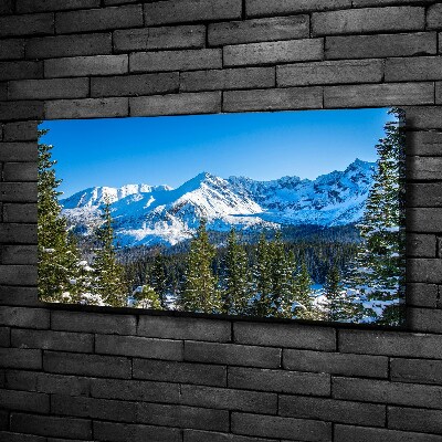 Tableau photo sur toile Panorama des Tatras