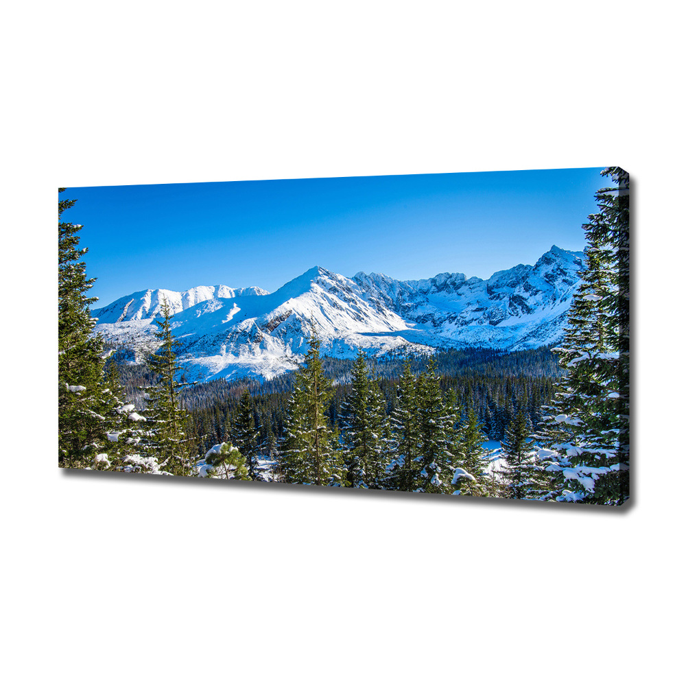 Tableau photo sur toile Panorama des Tatras