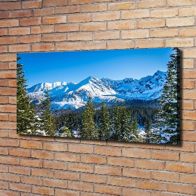 Tableau photo sur toile Panorama des Tatras