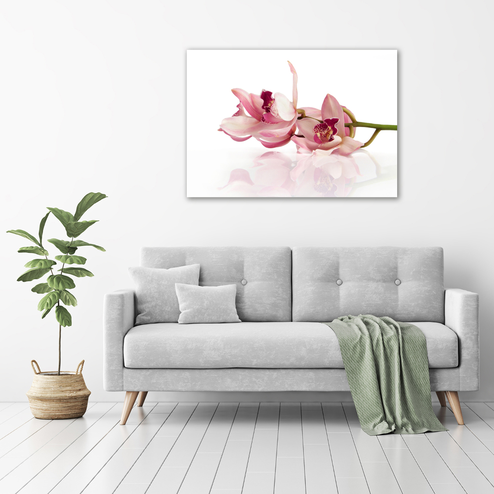 Tableau imprimé sur toile Fleur de l'orchidée