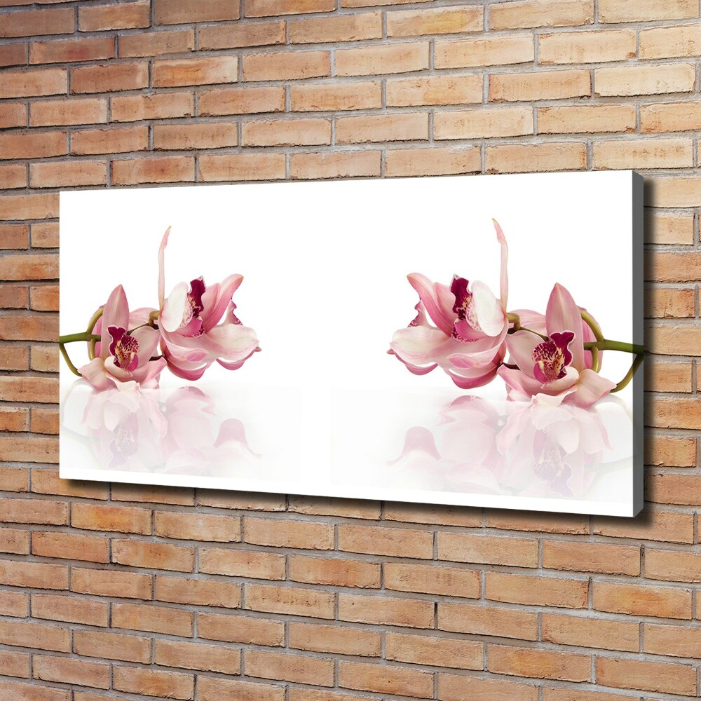 Tableau imprimé sur toile Fleur de l'orchidée