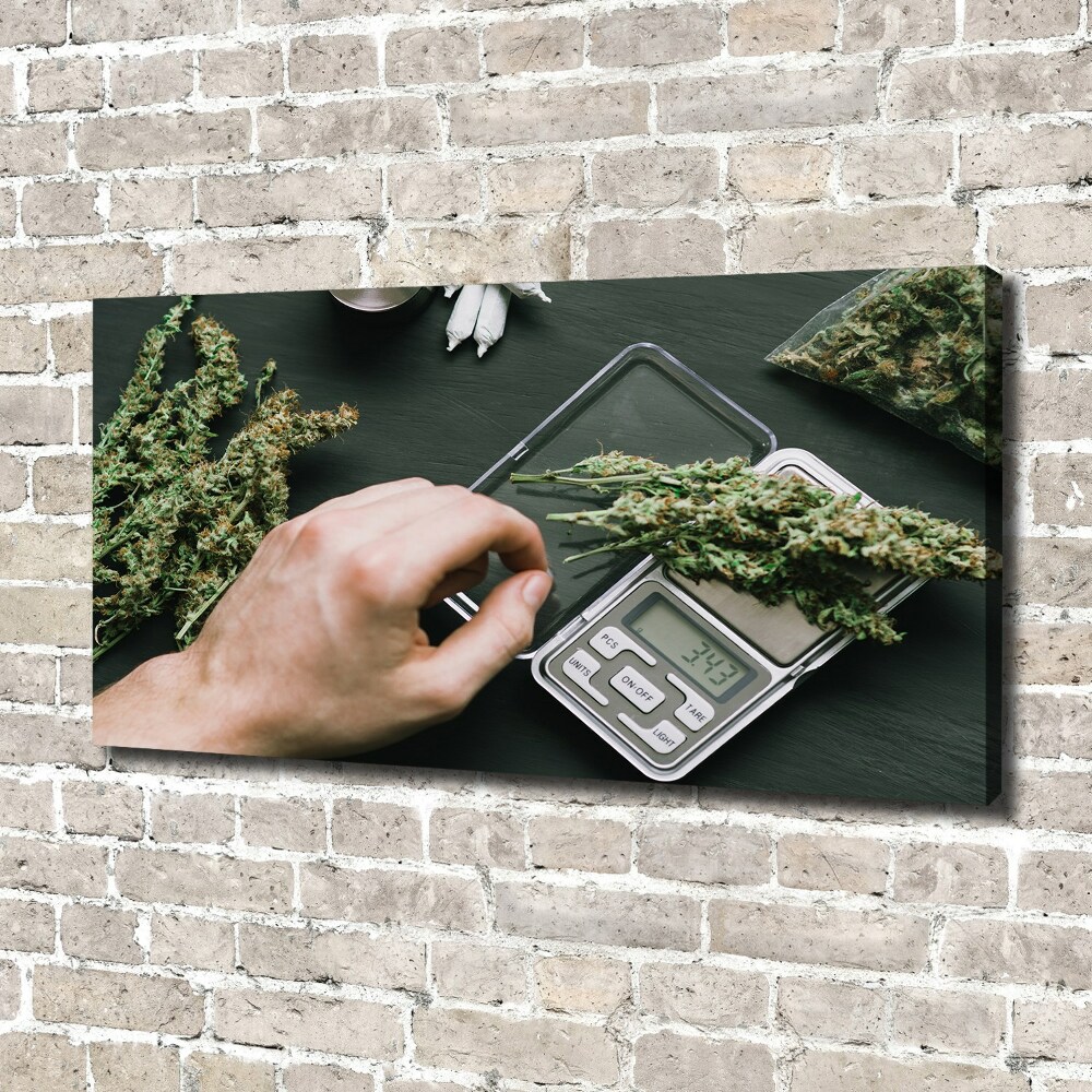 Tableau sur toile Cimes de cannabis