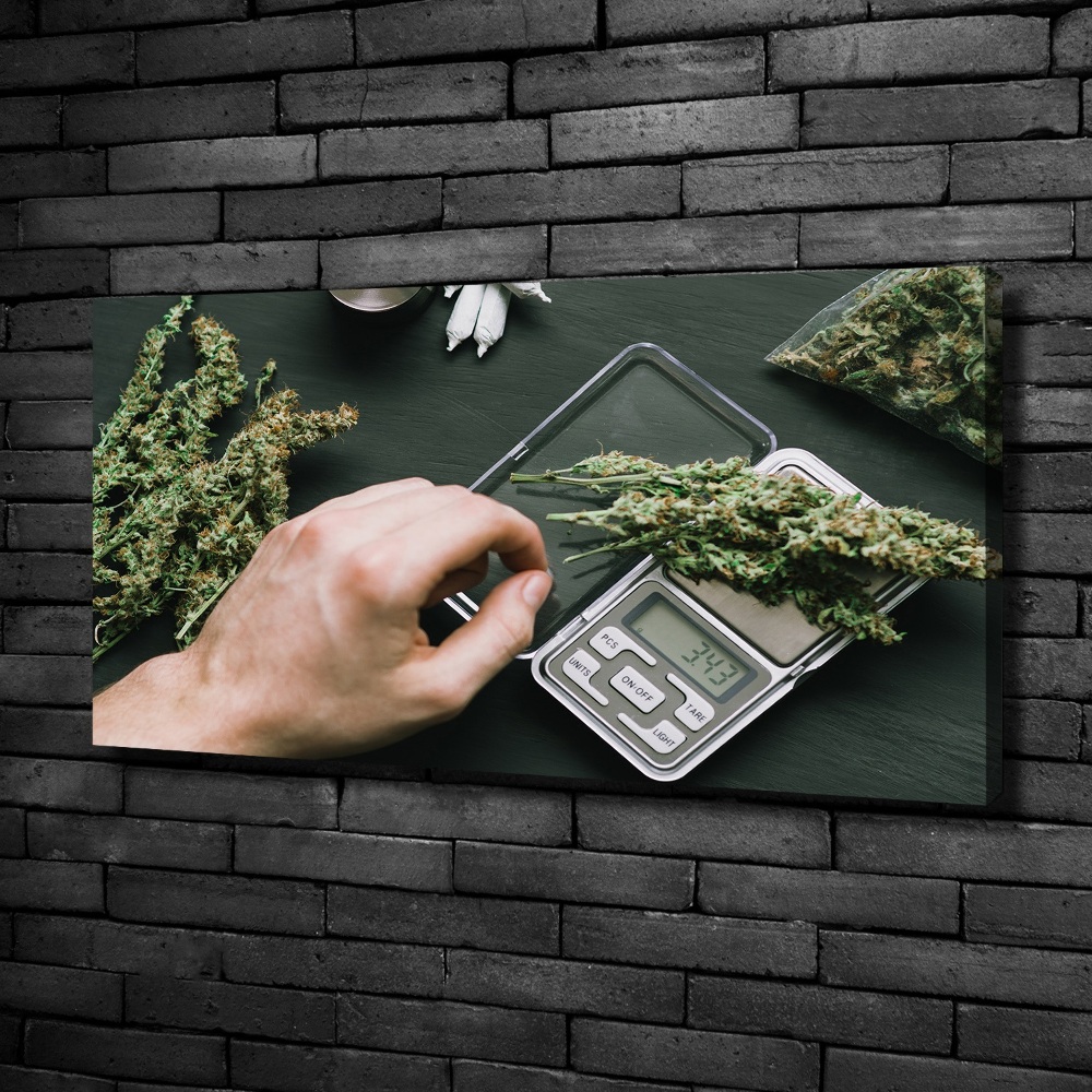 Tableau sur toile Cimes de cannabis