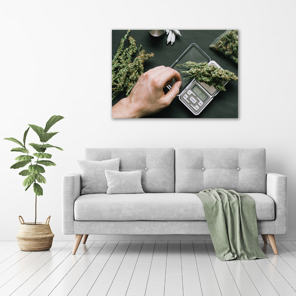 Tableau sur toile Cimes de cannabis