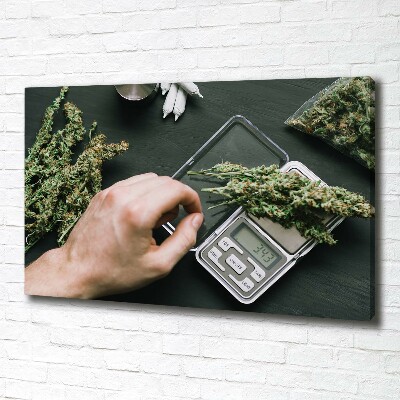 Tableau sur toile Cimes de cannabis