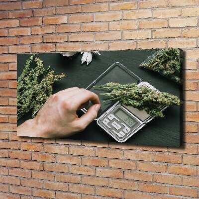 Tableau sur toile Cimes de cannabis