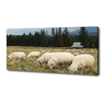 Tableau mural sur toile Moutons au pâturage