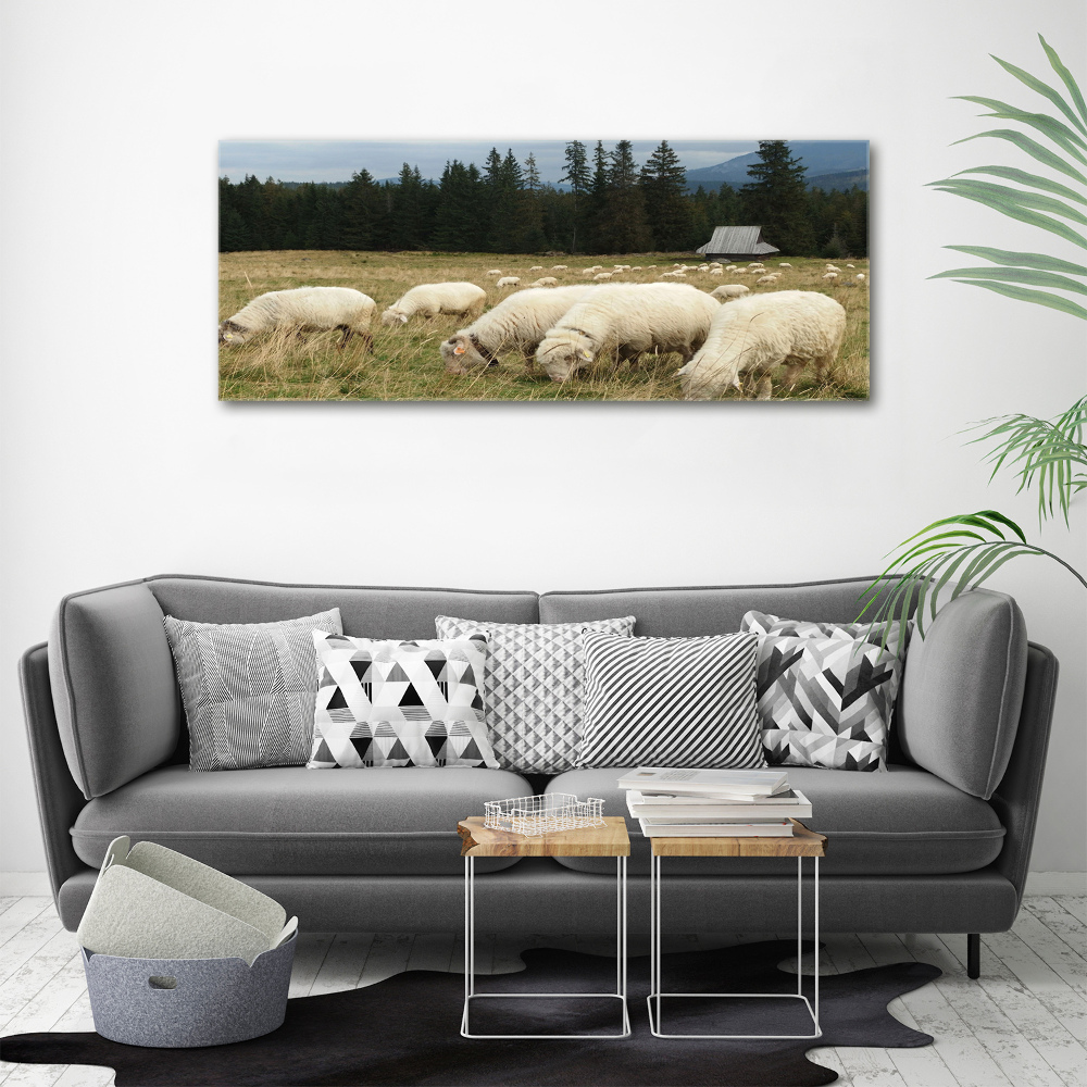 Tableau mural sur toile Moutons au pâturage