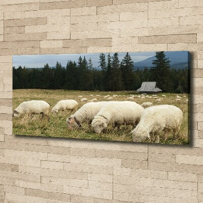 Tableau mural sur toile Moutons au pâturage