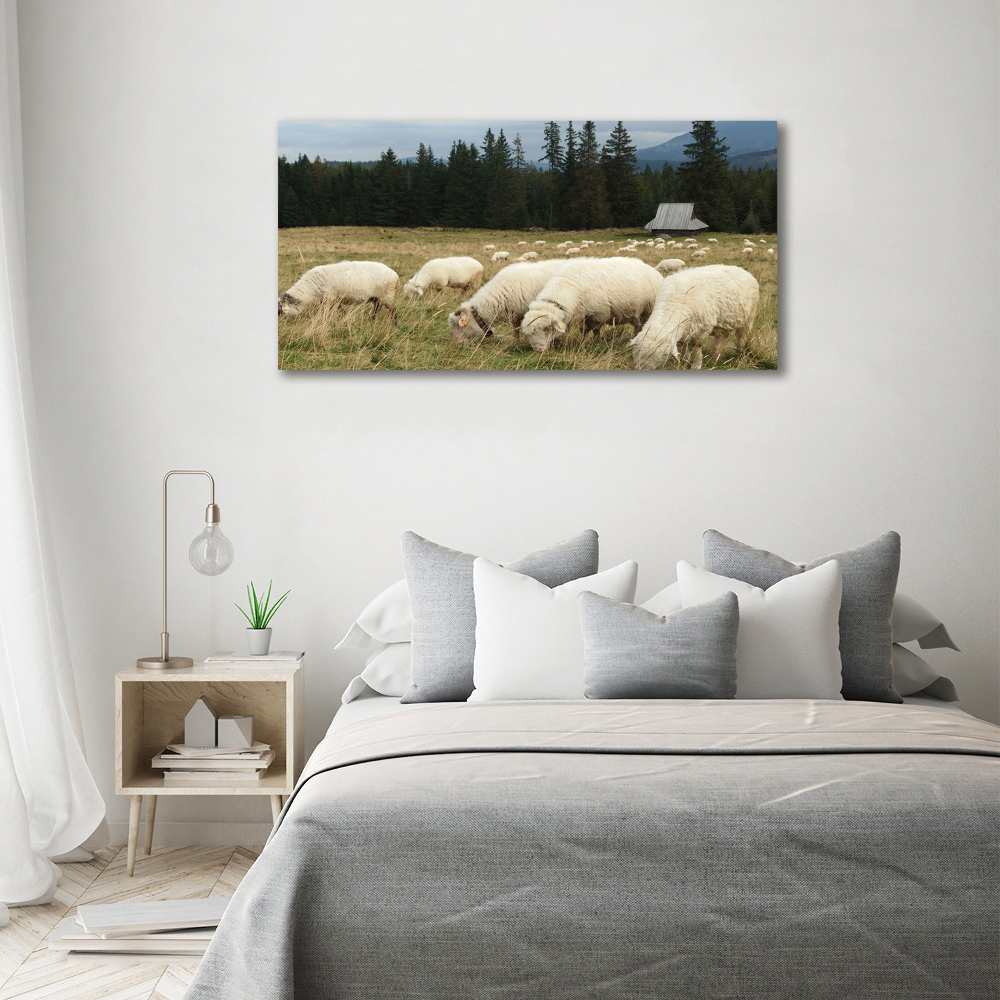 Tableau mural sur toile Moutons au pâturage