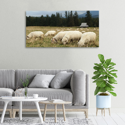 Tableau mural sur toile Moutons au pâturage