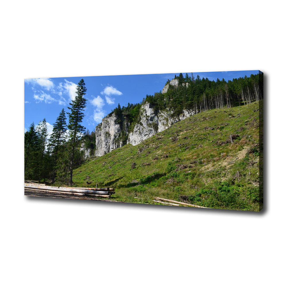 Tableau photo sur toile Pics rocheux