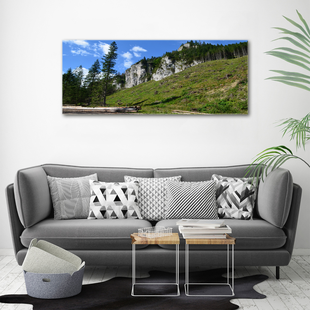 Tableau photo sur toile Pics rocheux