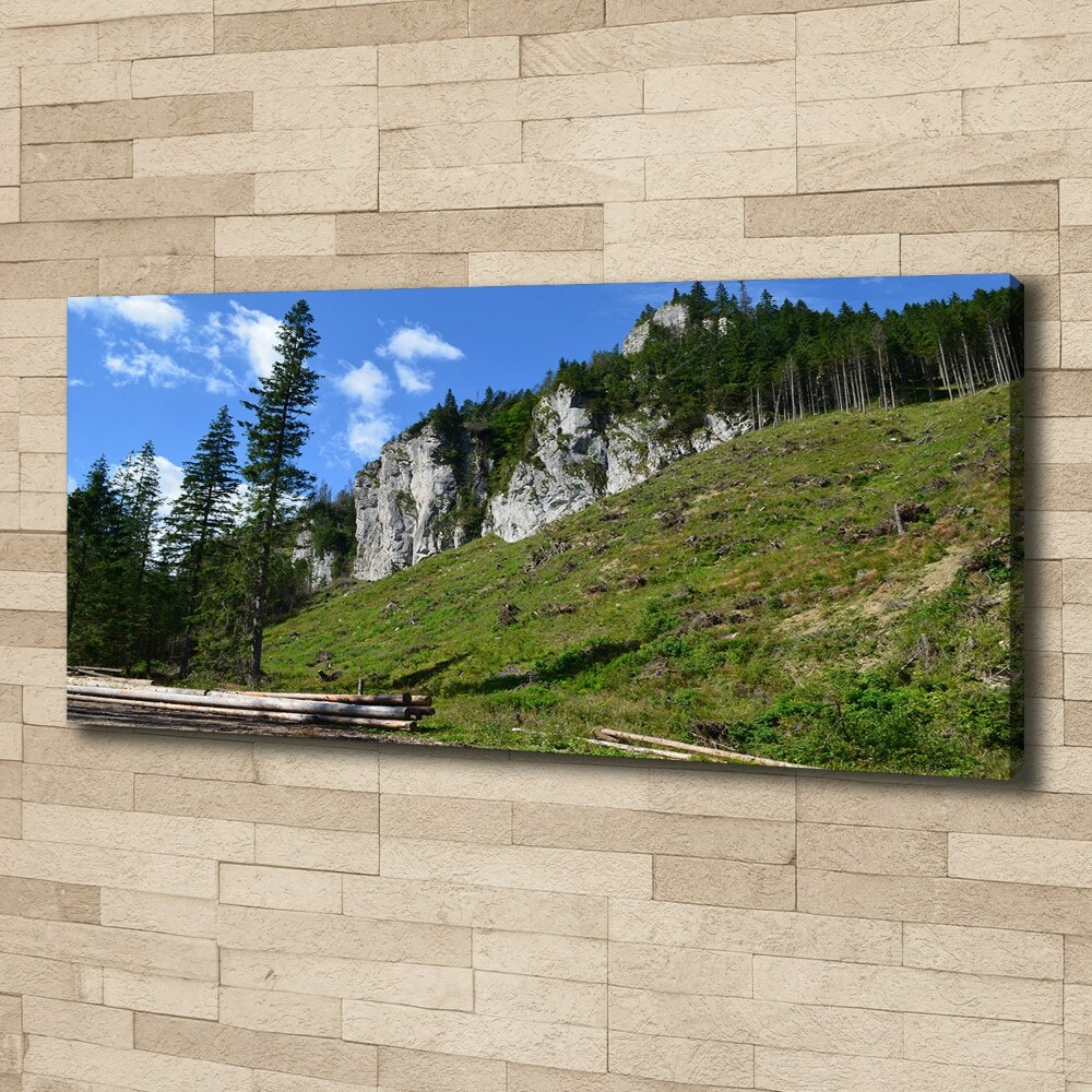 Tableau photo sur toile Pics rocheux