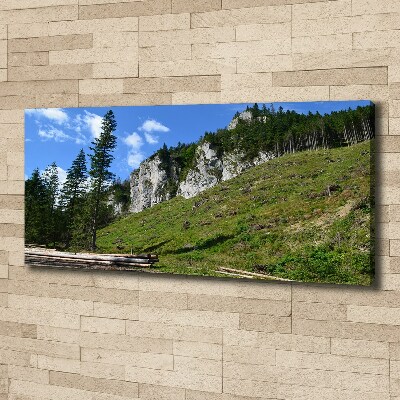 Tableau photo sur toile Pics rocheux