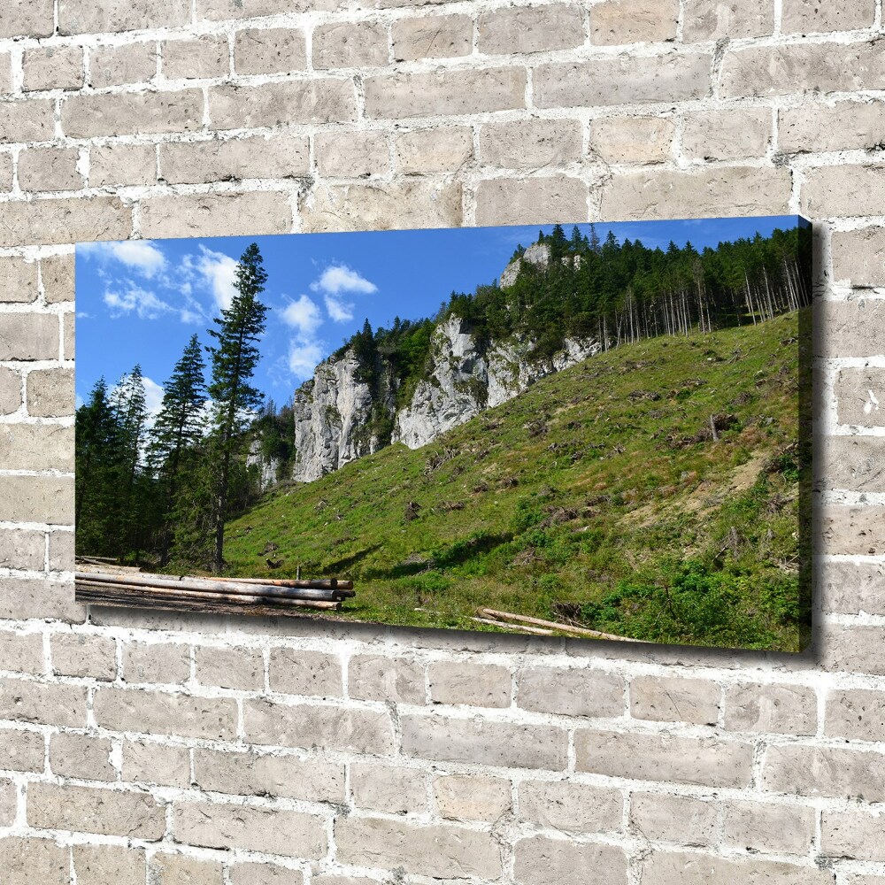 Tableau photo sur toile Pics rocheux