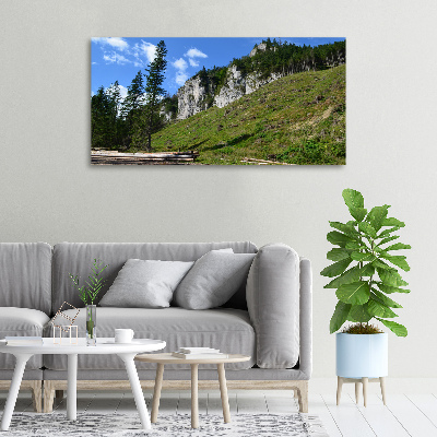 Tableau photo sur toile Pics rocheux