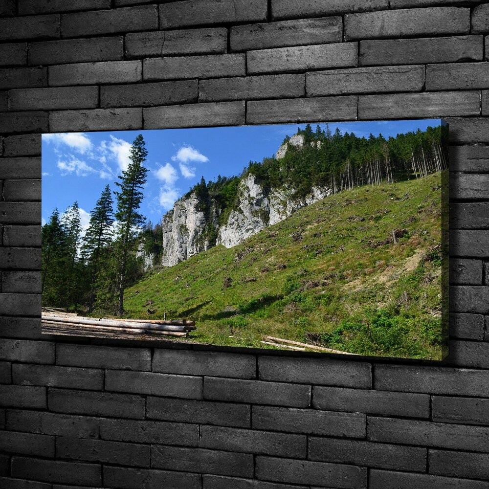 Tableau photo sur toile Pics rocheux