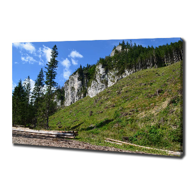 Tableau photo sur toile Pics rocheux