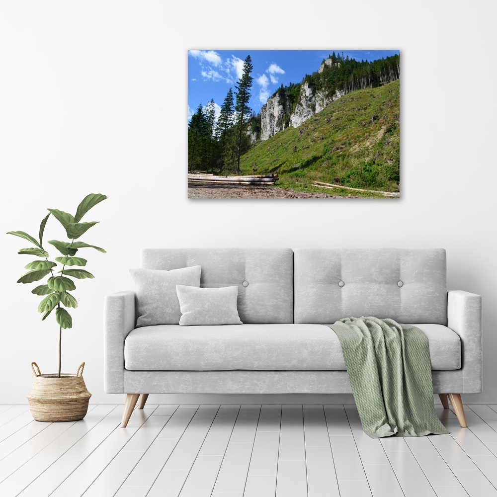 Tableau photo sur toile Pics rocheux