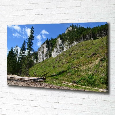 Tableau photo sur toile Pics rocheux