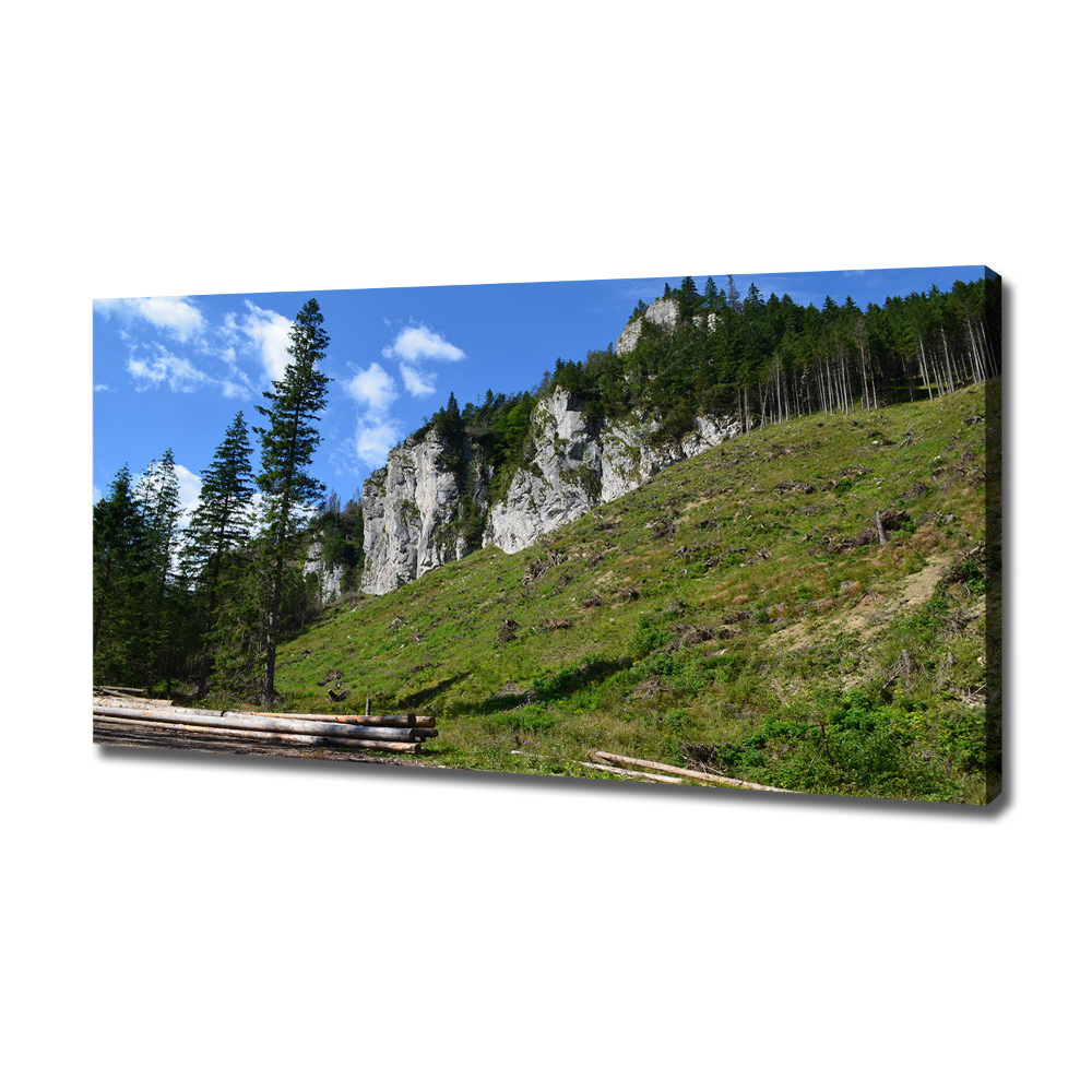 Tableau photo sur toile Pics rocheux