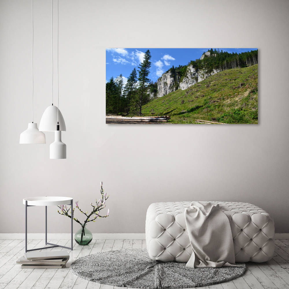 Tableau photo sur toile Pics rocheux