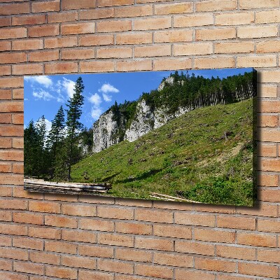 Tableau photo sur toile Pics rocheux