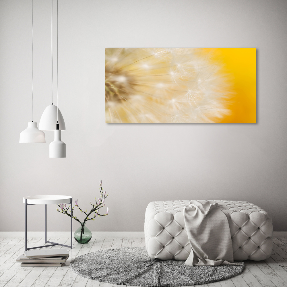 Tableau photo sur toile Gonflables