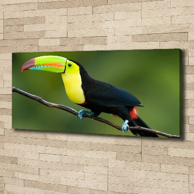 Tableau imprimé sur toile Toucan