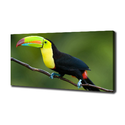 Tableau imprimé sur toile Toucan