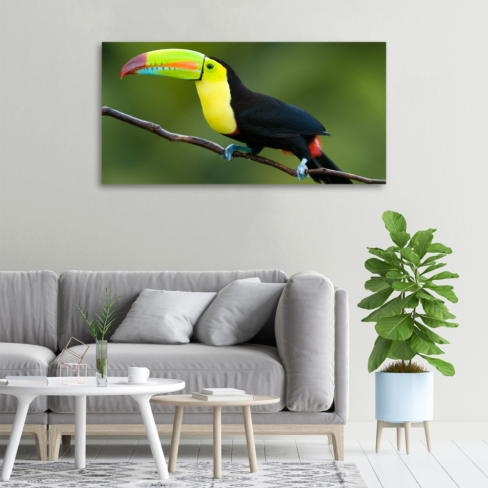 Tableau imprimé sur toile Toucan