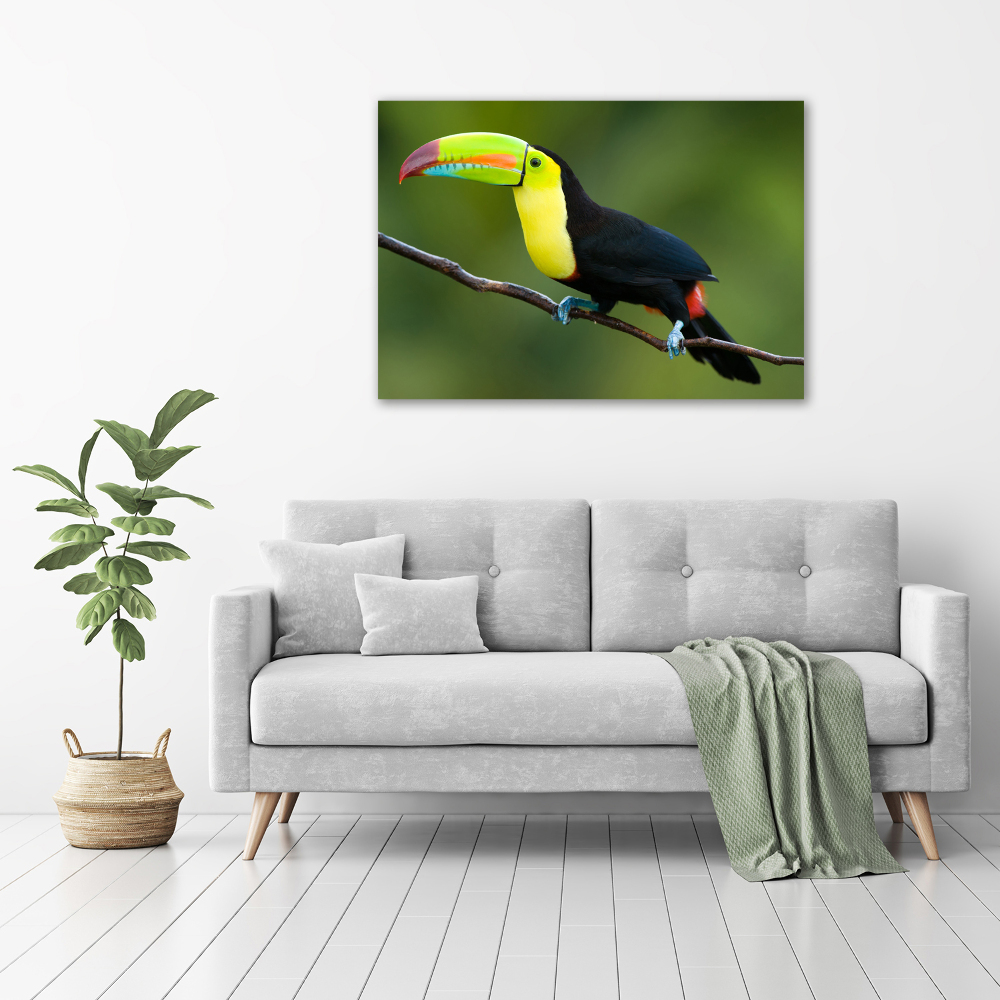 Tableau imprimé sur toile Toucan