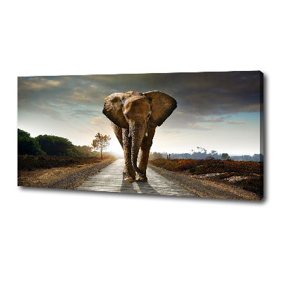 Tableau photo sur toile Éléphant qui marche