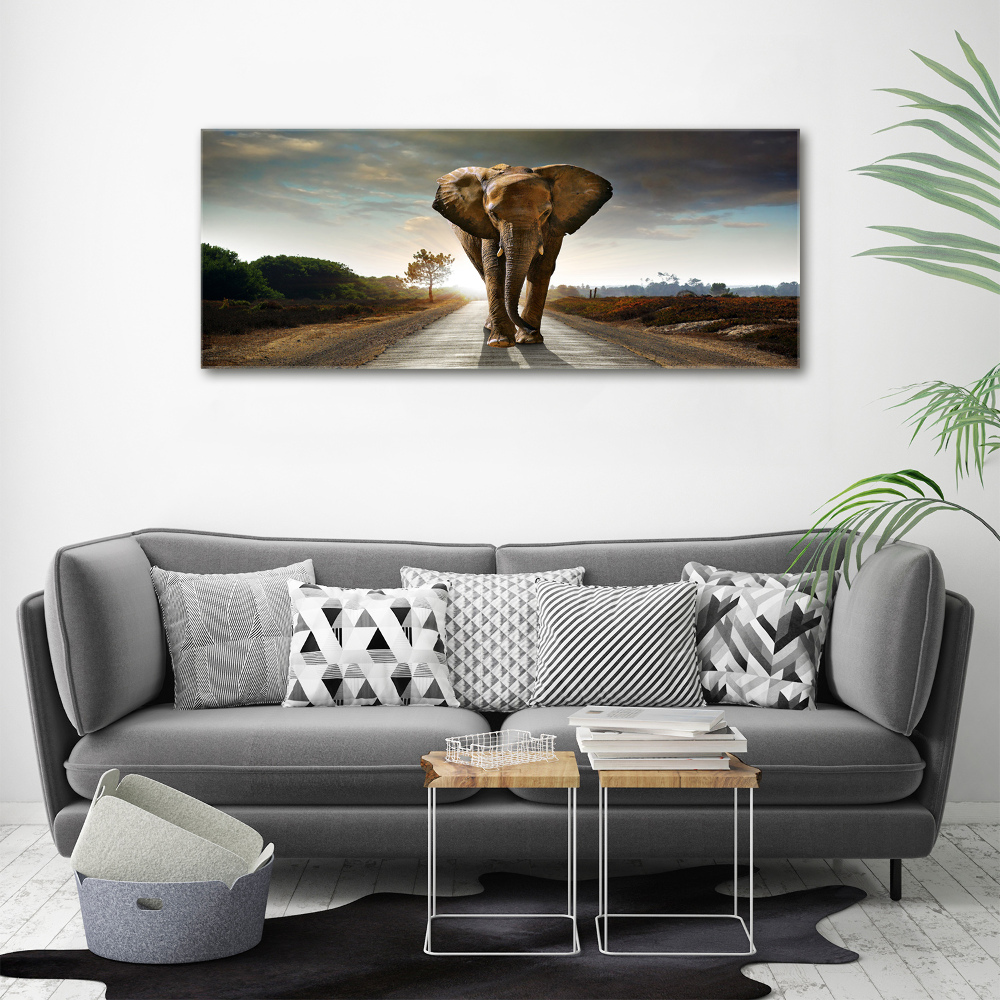 Tableau photo sur toile Éléphant qui marche