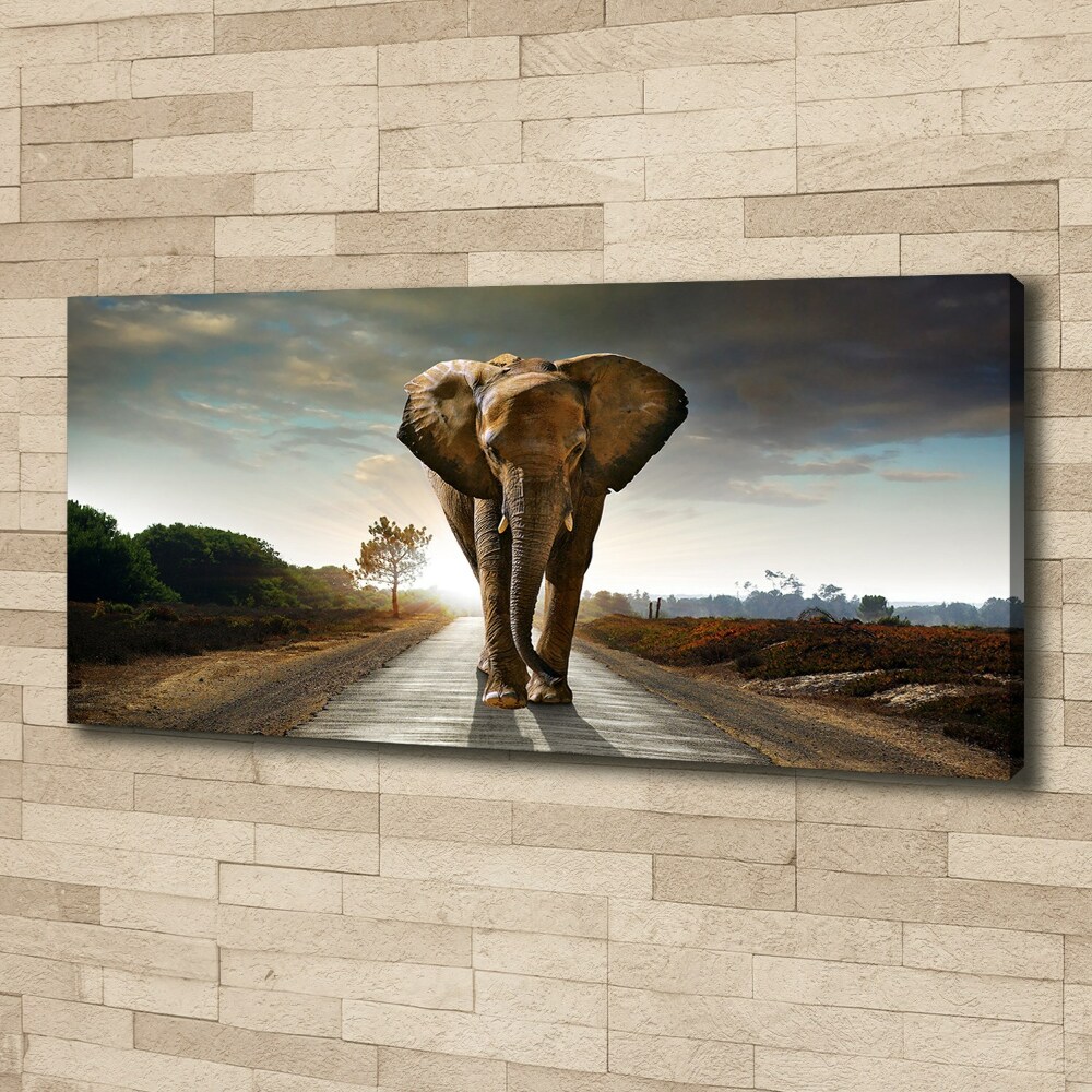 Tableau photo sur toile Éléphant qui marche