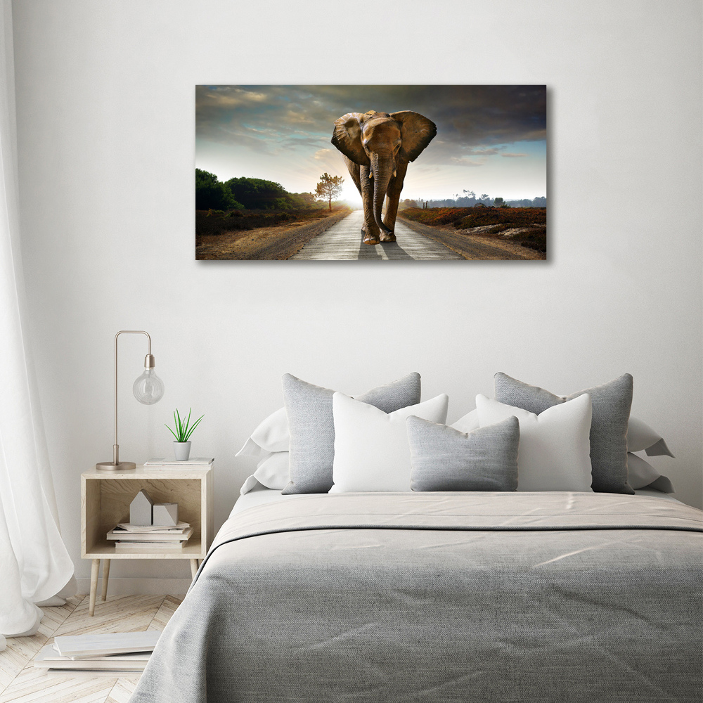 Tableau photo sur toile Éléphant qui marche