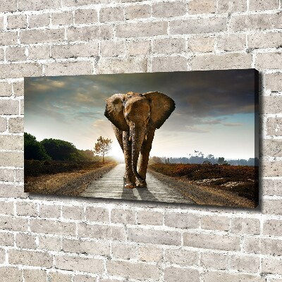 Tableau photo sur toile Éléphant qui marche