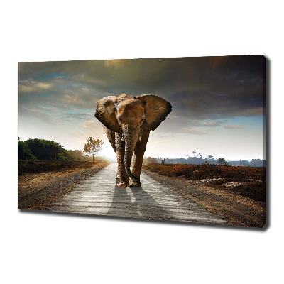 Tableau photo sur toile Éléphant qui marche