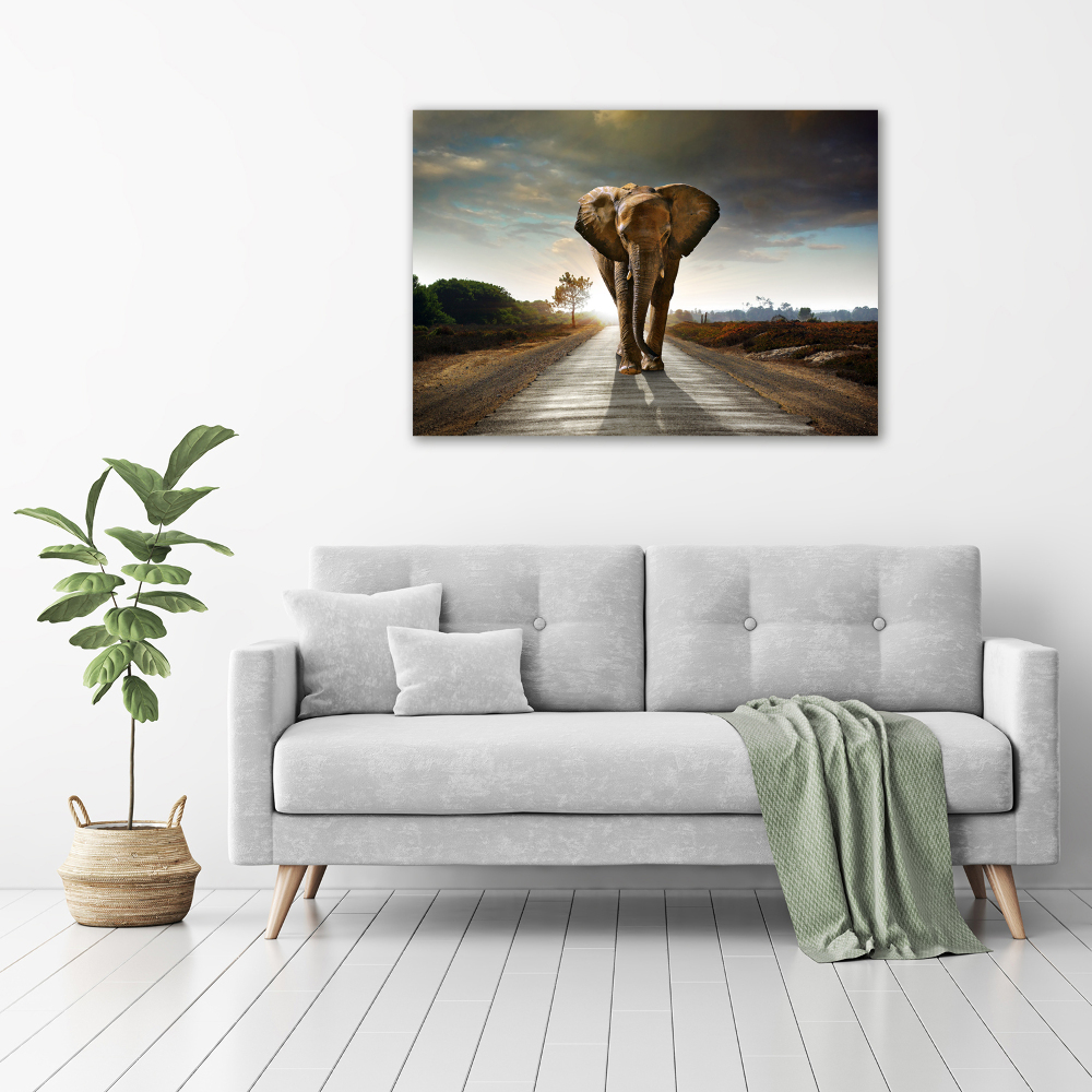 Tableau photo sur toile Éléphant qui marche