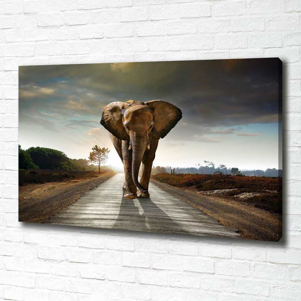 Tableau photo sur toile Éléphant qui marche