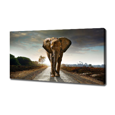 Tableau photo sur toile Éléphant qui marche