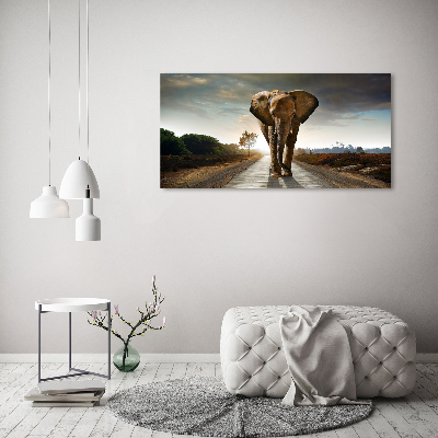 Tableau photo sur toile Éléphant qui marche