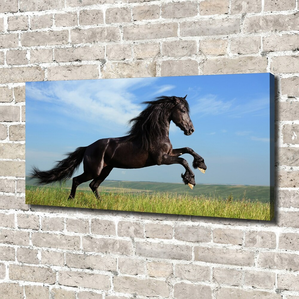 Tableau mural sur toile Cheval noir dans un pré