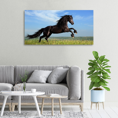 Tableau mural sur toile Cheval noir dans un pré