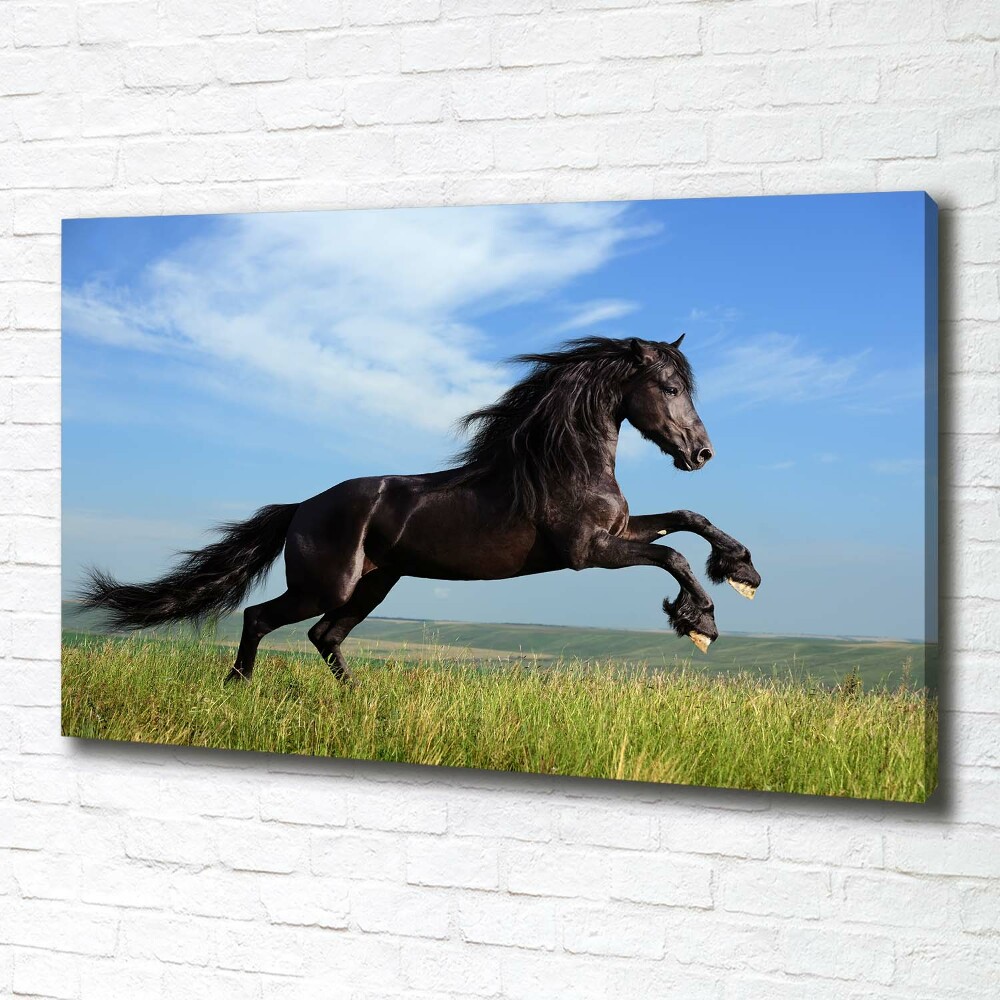 Tableau mural sur toile Cheval noir dans un pré